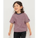 ワインレッド | 【WEB限定】ボーダー&無地ベーシック半袖Tシャツ | F.O.Online Store