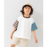 マルチカラー2 | 【WEB限定】ボーダー&無地ベーシック半袖Tシャツ | F.O.Online Store