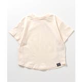 【どっちも正解】DAISUKITシャツ | F.O.Online Store | 詳細画像12 