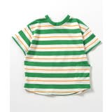グリーン | 【どっちも正解】DAISUKITシャツ | F.O.Online Store