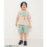 WEB限定  イロイログラフィックTシャツ | F.O.Online Store | 詳細画像11 