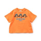 WEB限定  イロイログラフィックTシャツ | F.O.Online Store | 詳細画像19 