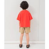 WEB限定  イロイログラフィックTシャツ | F.O.Online Store | 詳細画像35 