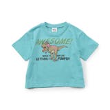 WEB限定  イロイログラフィックTシャツ | F.O.Online Store | 詳細画像41 