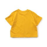 WEB限定  イロイログラフィックTシャツ | F.O.Online Store | 詳細画像52 