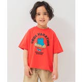 レッド | WEB限定  イロイログラフィックTシャツ | F.O.Online Store