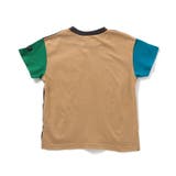 WEB限定 無地ボーダーTシャツ | F.O.Online Store | 詳細画像15