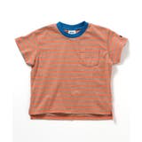 WEB限定 無地ボーダーTシャツ | F.O.Online Store | 詳細画像16