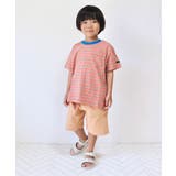 WEB限定 無地ボーダーTシャツ | F.O.Online Store | 詳細画像17