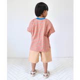 WEB限定 無地ボーダーTシャツ | F.O.Online Store | 詳細画像18