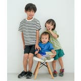 WEB限定 無地ボーダーTシャツ | F.O.Online Store | 詳細画像22