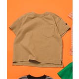 ベージュ | WEB限定 無地ボーダーTシャツ | F.O.Online Store
