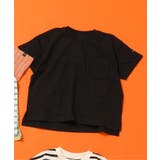 ブラック | WEB限定 無地ボーダーTシャツ | F.O.Online Store