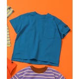 ブルー | WEB限定 無地ボーダーTシャツ | F.O.Online Store