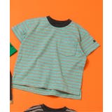 ミント | WEB限定 無地ボーダーTシャツ | F.O.Online Store