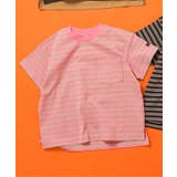 ピンク | WEB限定 無地ボーダーTシャツ | F.O.Online Store
