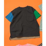 レインボー | WEB限定 無地ボーダーTシャツ | F.O.Online Store