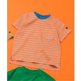 レンガ | WEB限定 無地ボーダーTシャツ | F.O.Online Store