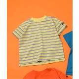 ライム | WEB限定 無地ボーダーTシャツ | F.O.Online Store