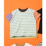 マルチカラー2 | WEB限定 無地ボーダーTシャツ | F.O.Online Store