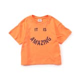 WEB限定  イロイロロゴTシャツ | F.O.Online Store | 詳細画像10 