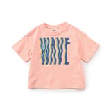 WEB限定  イロイロロゴTシャツ | F.O.Online Store | 詳細画像14 