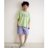 【WEB限定】イロイロロゴ半袖Tシャツ | F.O.Online Store | 詳細画像32 
