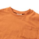 WEB限定  ボーダー&無地半袖Tシャツ | F.O.Online Store | 詳細画像13 