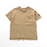 WEB限定  ボーダー&無地半袖Tシャツ | F.O.Online Store | 詳細画像2 