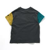 WEB限定  ボーダー&無地半袖Tシャツ | F.O.Online Store | 詳細画像23 