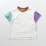 WEB限定  ボーダー&無地半袖Tシャツ | F.O.Online Store | 詳細画像24 
