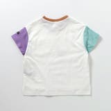 WEB限定  ボーダー&無地半袖Tシャツ | F.O.Online Store | 詳細画像25 