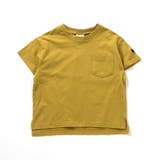 WEB限定  ボーダー&無地半袖Tシャツ | F.O.Online Store | 詳細画像26 