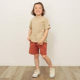 WEB限定  ボーダー&無地半袖Tシャツ | F.O.Online Store | 詳細画像3 
