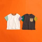 WEB限定  ボーダー&無地半袖Tシャツ | F.O.Online Store | 詳細画像31 