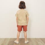 WEB限定  ボーダー&無地半袖Tシャツ | F.O.Online Store | 詳細画像4 