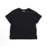 WEB限定  ボーダー&無地半袖Tシャツ | F.O.Online Store | 詳細画像5 