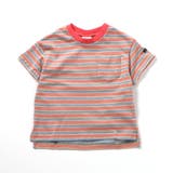 WEB限定  ボーダー&無地半袖Tシャツ | F.O.Online Store | 詳細画像7 