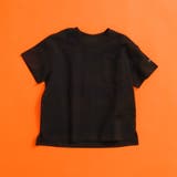 ブラック | WEB限定  ボーダー&無地半袖Tシャツ | F.O.Online Store