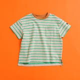グリーン | WEB限定  ボーダー&無地半袖Tシャツ | F.O.Online Store