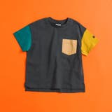 マルチカラー1 | WEB限定  ボーダー&無地半袖Tシャツ | F.O.Online Store