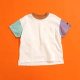 マルチカラー2 | WEB限定  ボーダー&無地半袖Tシャツ | F.O.Online Store