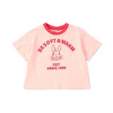 WEB限定  リンガー配色アニマルカレッジTシャツ | F.O.Online Store | 詳細画像15 