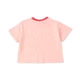WEB限定  リンガー配色アニマルカレッジTシャツ | F.O.Online Store | 詳細画像16 