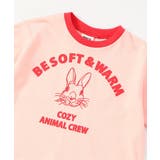 WEB限定  リンガー配色アニマルカレッジTシャツ | F.O.Online Store | 詳細画像17 
