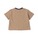 WEB限定  リンガー配色アニマルカレッジTシャツ | F.O.Online Store | 詳細画像3 