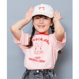 ピンク | WEB限定  リンガー配色アニマルカレッジTシャツ | F.O.Online Store