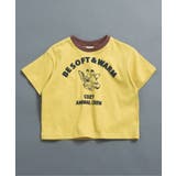 イエロー | WEB限定  リンガー配色アニマルカレッジTシャツ | F.O.Online Store