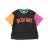レインボー | WEB限定 【リンク】ロゴアップリケTシャツ | F.O.Online Store