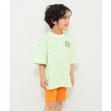 グリーン | WEB限定  ビッグシルエットネオンTシャツ | F.O.Online Store